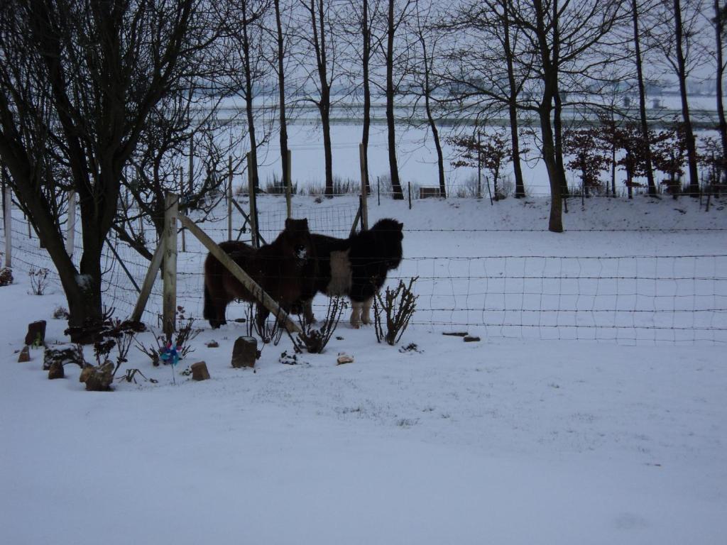 La Demeure Bed and Breakfast Vassonville Buitenkant foto