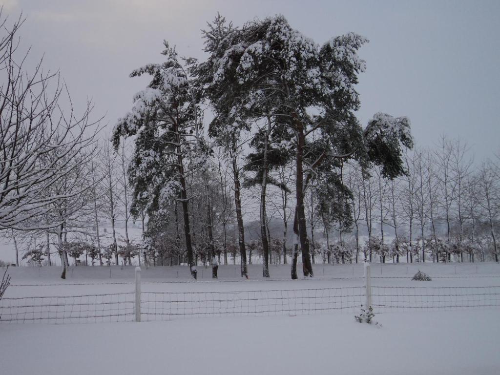 La Demeure Bed and Breakfast Vassonville Buitenkant foto