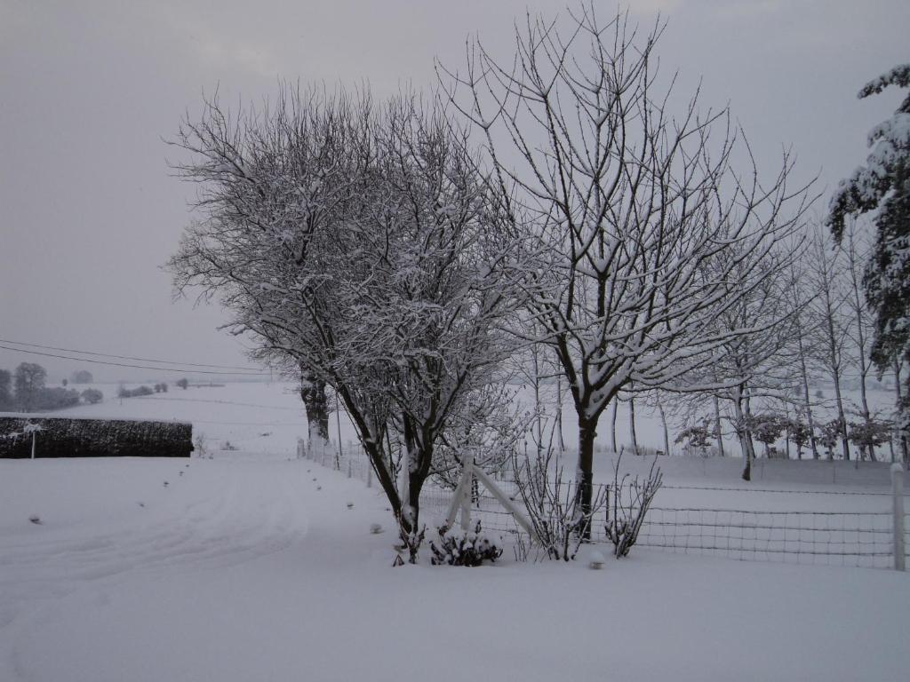 La Demeure Bed and Breakfast Vassonville Buitenkant foto